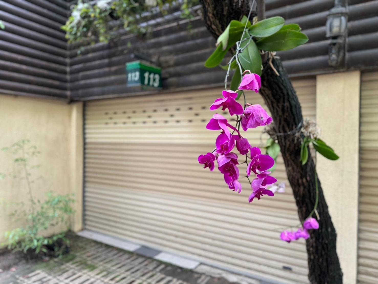 Ivy Motel Csiaji Kültér fotó